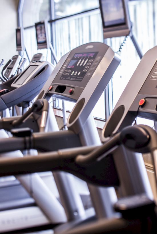 This image shows a row of treadmills lined up in a fitness gym or exercise facility, with large windows allowing natural light to enter.